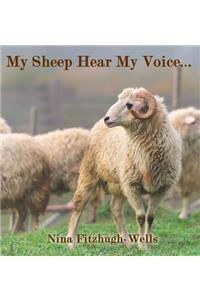 My Sheep Hear My Voice