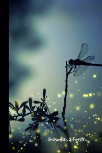 Dragonflies & fireflies