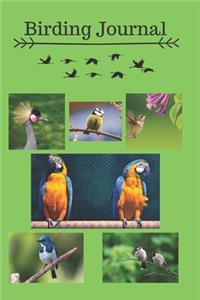 Birding Journal