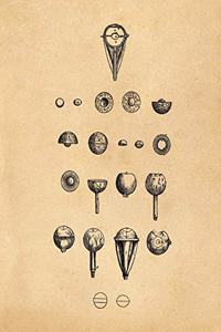 Anatomy Notebook