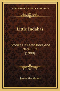 Little Indabas