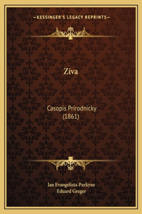 Ziva