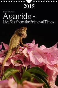 Agamids - Lizards from the Primeval Times 2015