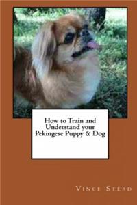 How to Train and Understand your Pekingese Puppy & Dog