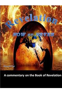 Revelation Now Or Never