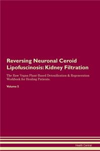 Reversing Neuronal Ceroid Lipofuscinosis: Kidney Filtration The Raw Vegan Plant-Based Detoxification & Regeneration Workbook for Healing Patients.Volume 5