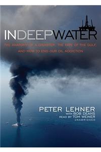 In Deep Water: The Anatomy of a Disaster, the Fate of the Gulf, and How to End Our Oil Addiction