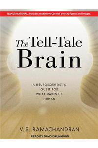 The Tell-Tale Brain