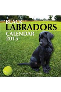 Black Labradors Calendar 2015