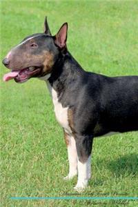 Miniature Bull Terrier Affirmations Workbook Miniature Bull Terrier Presents