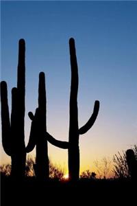 Saguaro Cactus with End of Day Sunburst Journal