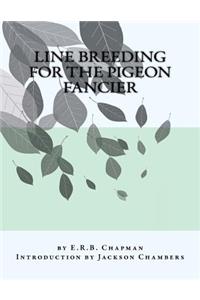 Line Breeding For The Pigeon Fancier