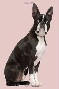 Boston Terrier: Artified Pets Journal/Notebook/Diary, 160 Pages