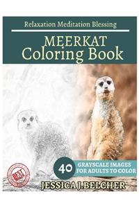 Meerkat Coloring Book for Adults Relaxation Meditation Blessing: Sketches Coloring Book 40 Grayscale Images