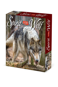 Spirit of the Wolf 2022 Box Calendar - Wolves Daily Desktop