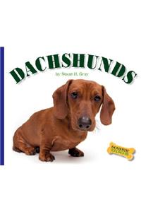 Dachshunds