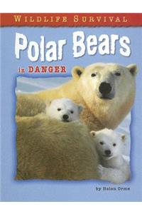 Polar Bears in Danger