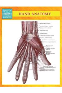 Hand Anatomy (Speedy Study Guides)