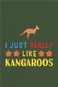 I Just Really Like Kangaroos