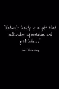 Gratitude Journal - Nature's beauty is a Gift