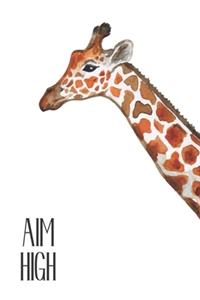 Aim High