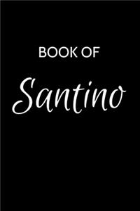 Santino Journal