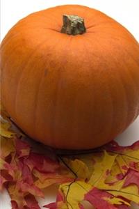 2020 Weekly Planner Fall Leaves Pumpkin 134 Pages