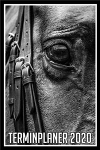 Terminplaner 2020