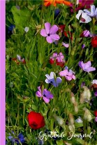 Gratitude Journal