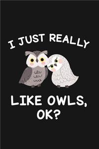 I Just Really Like Owls Ok