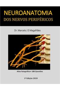 Neuroanatomia dos nervos periféricos