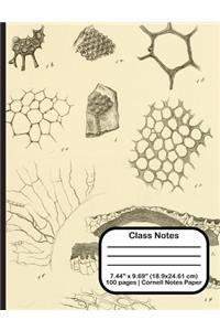 Class Notes