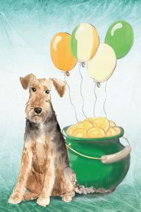 Welsh Terrier