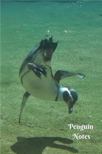 Penguin Notes