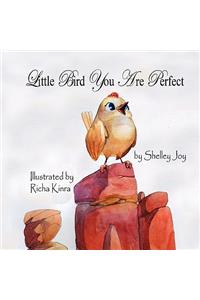 Little Bird You Are Perfect
