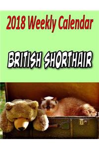 2018 Weekly Calendar British Shorthair