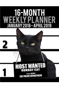 2018-2019 Weekly Planner - Most Wanted Bombay Cat