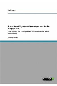 Stress, Bew?ltigung und Konsequenzen f?r die Pflegepraxis