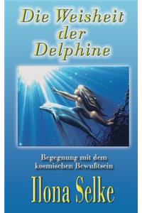 Weisheit der Delphine