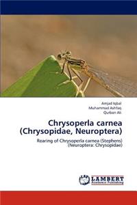 Chrysoperla carnea (Chrysopidae, Neuroptera)