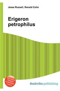 Erigeron Petrophilus