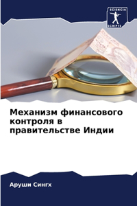 Механизм финансового контроля в правител