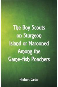 Boy Scouts on Sturgeon Island
