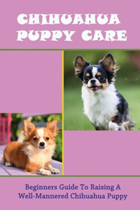 Chihuahua Puppy Care