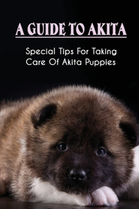 A Guide To Akita