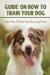 Guide On How To Train You Dog