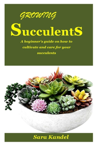 Growing Succulents Guide