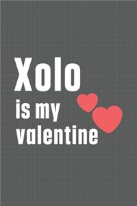 Xolo is my valentine