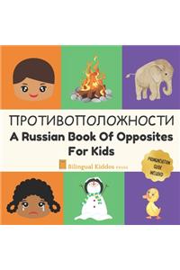 Russian Book Of Opposites For Kids