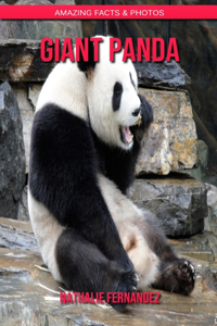 Giant Panda